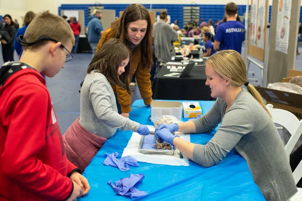 A UNE student works with kids during the CEN Brain Fair event